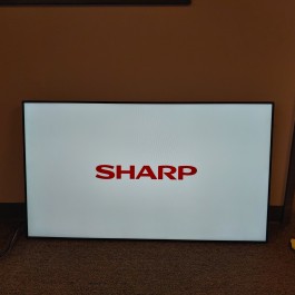 Sharp Professional 49